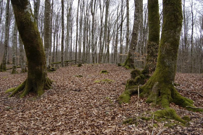 El dolmen visto del norte