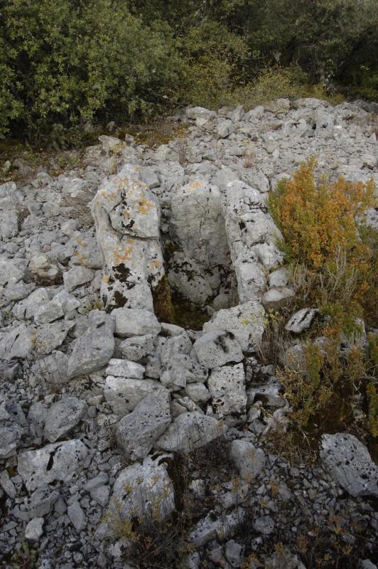 Dolmen de Boluntza 1