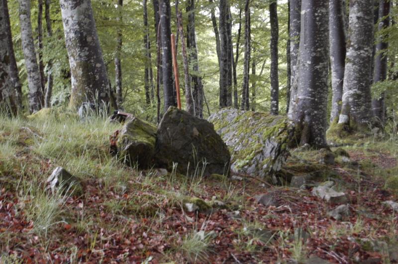 Dolmen de Aiztaluz