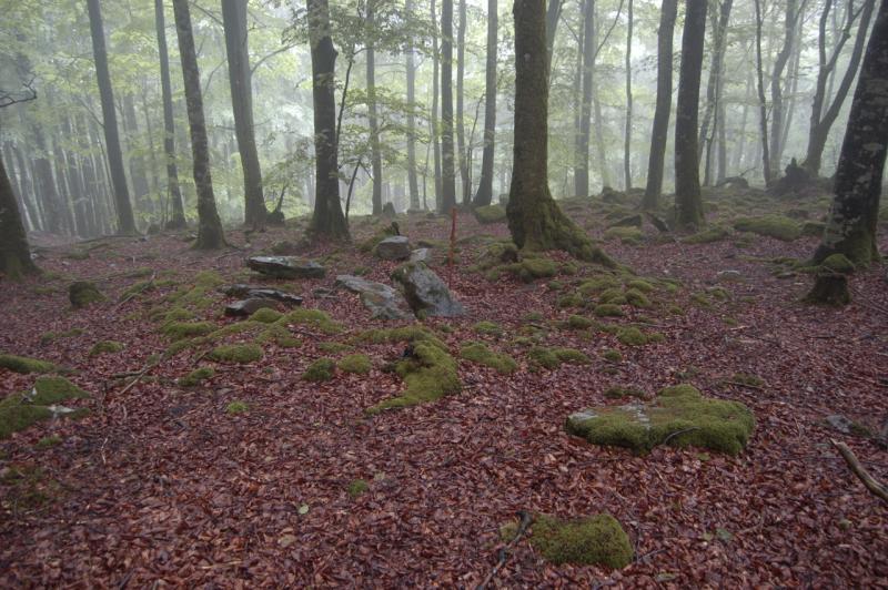 Dolmen de Loiketa 6